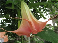 633ab691-Picture 897.jpg